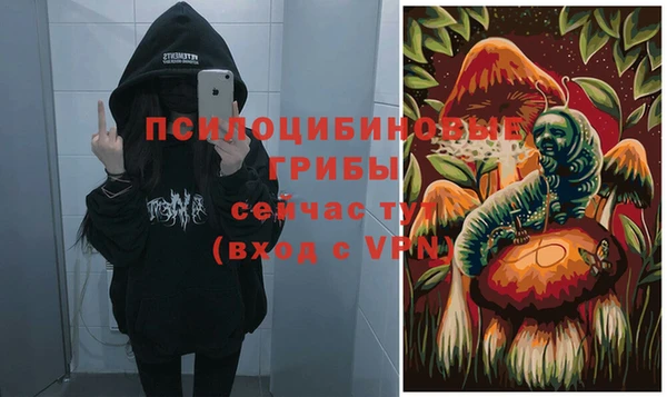 сатива Алексин