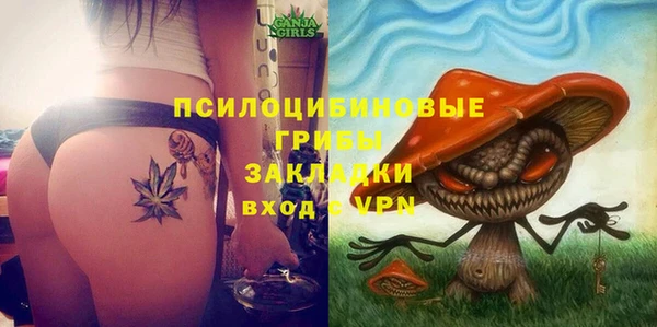 сатива Алексин