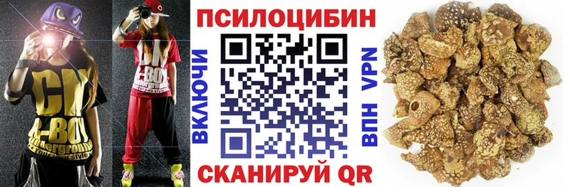 Галлюциногенные грибы GOLDEN TEACHER  как найти закладки  Кашин 